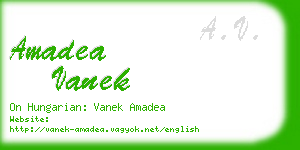 amadea vanek business card